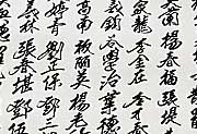 Asienreisender - Chinese Scripts